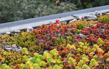 the cost of Dolhelfa green roof installation