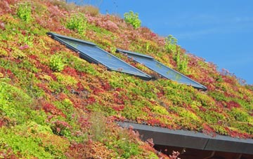 Dolhelfa living roof systems