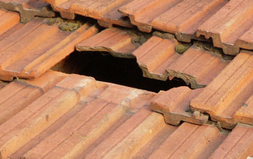 roof repair Dolhelfa, Powys