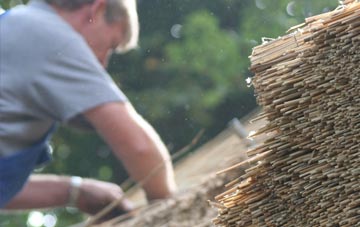 professional Dolhelfa thatchers